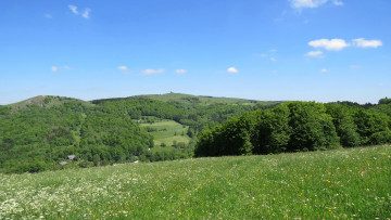 Картинка природа пейзажи деревья холмы