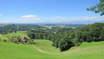 Картинка природа пейзажи деревья холмы