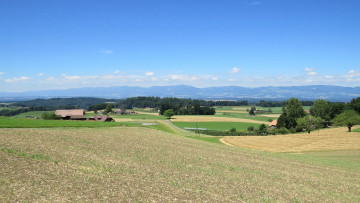 Картинка природа пейзажи деревья холмы