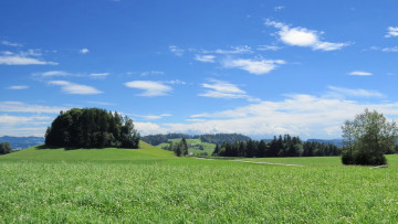 Картинка природа пейзажи деревья холмы