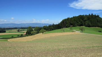 Картинка природа пейзажи деревья холмы