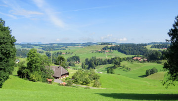 Картинка природа пейзажи деревья холмы