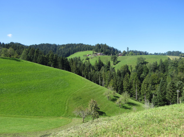 Обои картинки фото природа, пейзажи, деревья, холмы