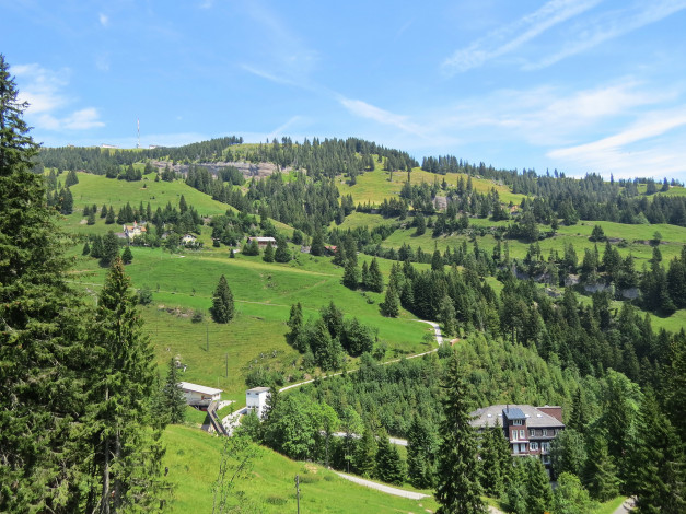 Обои картинки фото природа, пейзажи, деревья, холмы