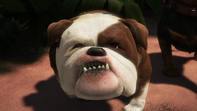 Обои картинки фото мультфильмы, up, собака, оскал, морда