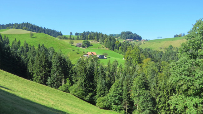 Обои картинки фото природа, пейзажи, деревья, холмы