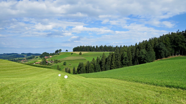 Обои картинки фото природа, пейзажи, деревья, холмы