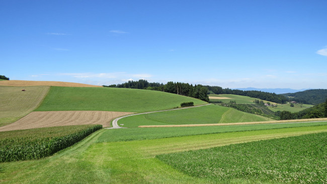 Обои картинки фото природа, пейзажи, деревья, холмы