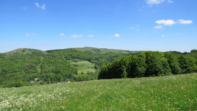 Обои картинки фото природа, пейзажи, деревья, холмы