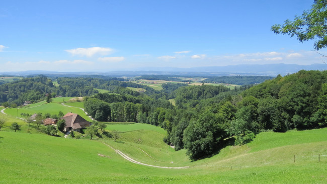 Обои картинки фото природа, пейзажи, деревья, холмы