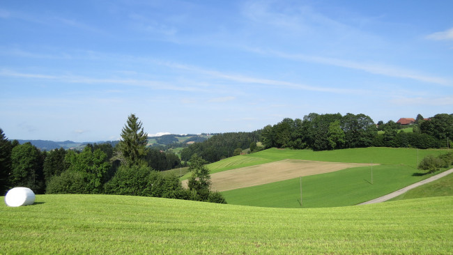 Обои картинки фото природа, пейзажи, деревья, холмы