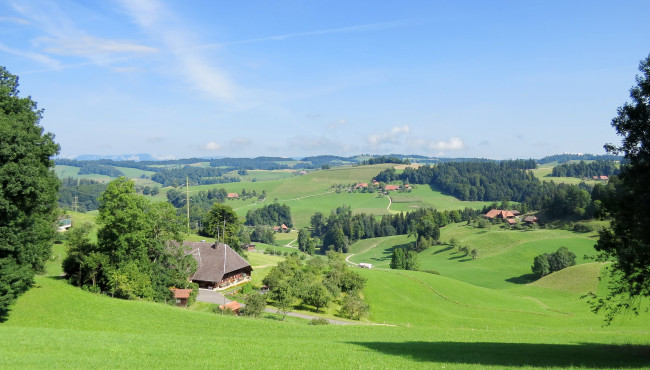 Обои картинки фото природа, пейзажи, деревья, холмы