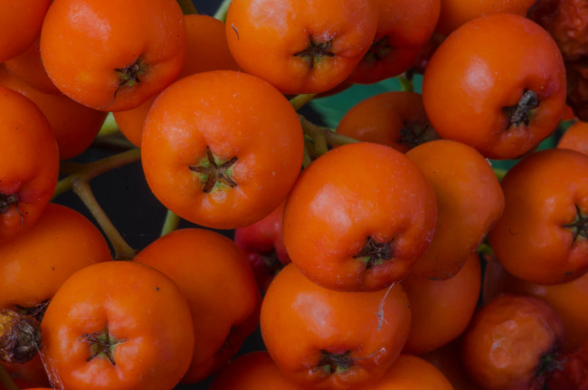 Обои картинки фото еда, фрукты,  ягоды, ягоды