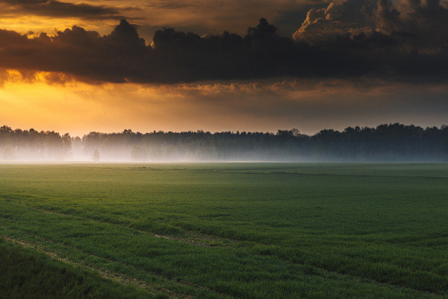 Обои картинки фото природа, луга, поле