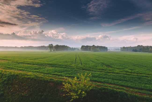 Обои картинки фото природа, поля, луг