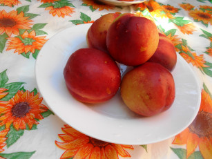 Картинка еда фрукты +ягоды яблоки