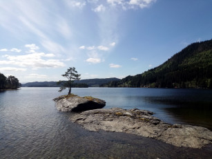 Картинка природа реки озера река