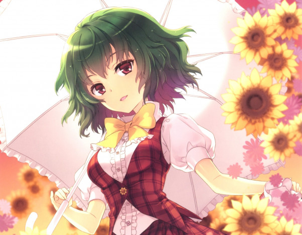 Обои картинки фото аниме, touhou, девушка