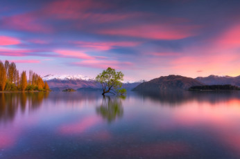 Картинка природа пейзажи горы озеро дерево новая зеландия new zealand lake wanaka южные альпы southern alps уанака