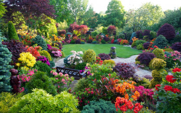 Картинка природа парк лужайка клумбы цветущие кусты