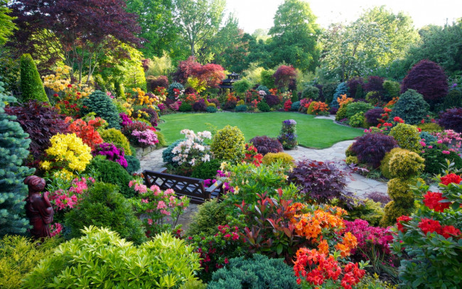 Обои картинки фото природа, парк, лужайка, клумбы, цветущие, кусты