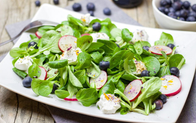 Обои картинки фото еда, салаты,  закуски, редис, салат, голубика