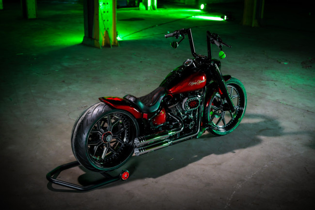 Обои картинки фото мотоциклы, harley-davidson, softail, fat, boy, customized, custombikes, night, blood