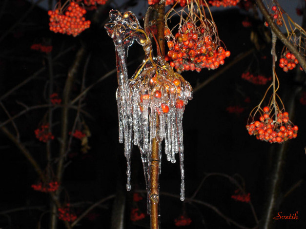 Обои картинки фото 