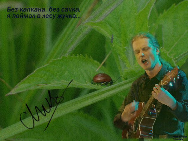 Обои картинки фото жучок, музыка, мельница