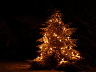 Картинка праздничные Ёлки