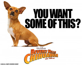 Картинка beverly hills chihuahua кино фильмы