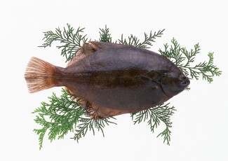 Картинка еда