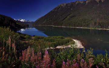 Картинка природа реки озера