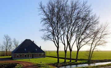 Картинка природа деревья вода