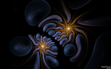 Картинка 3д графика fractal фракталы тёмный фрактал узор