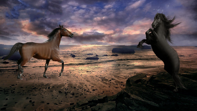 Обои картинки фото разное, компьютерный, дизайн, море, вечер