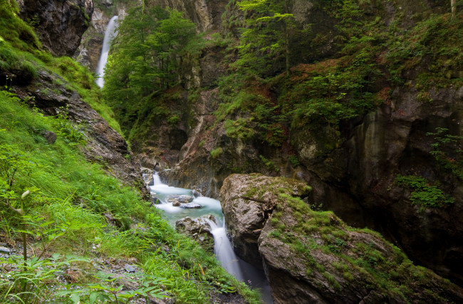 Обои картинки фото природа, реки, озера, лес, река, камни