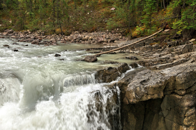 Обои картинки фото природа, реки, озера, река, лес, камни