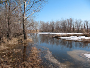 Картинка ранняя весна апрель природа реки озера казахстан брещук талый