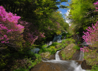 Картинка природа реки озера лес камни река