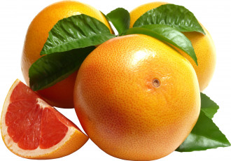 Картинка еда цитрусы апельсины