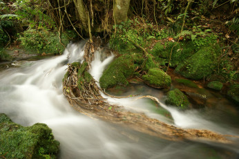 Картинка природа реки озера лес река камни