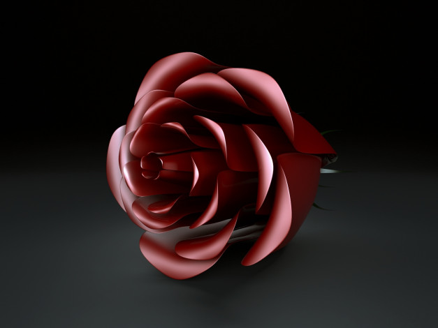 Обои картинки фото 3д, графика, flowers, цветы, роза
