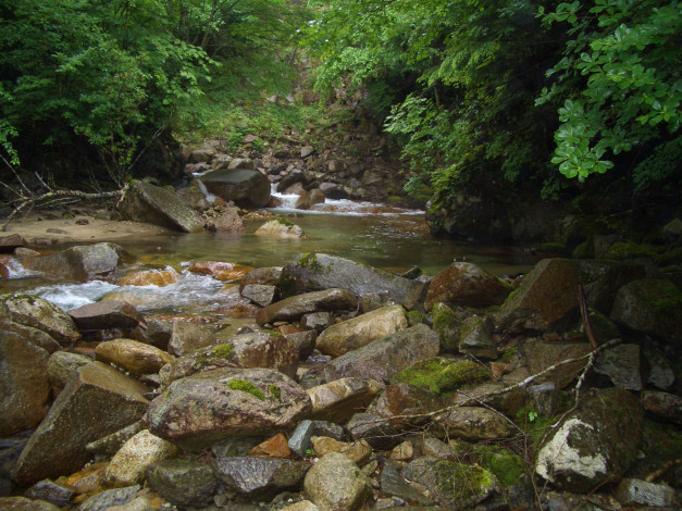 Обои картинки фото природа, реки, озера, река, камни, лес