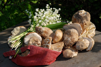 Картинка еда грибы грибные блюда боровики ландыши