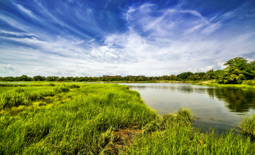 Картинка природа реки озера поле река трава деревья