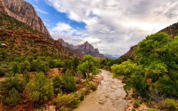 Картинка zion national park природа горы скалы камни дорога деревья