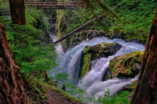 Обои картинки фото sol, duc, falls, olympic, national, park, washington, природа, водопады, олимпик, река, поток, мост, лес, river, национальный, парк, вашингтон