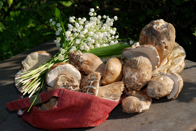 Обои картинки фото еда, грибы, грибные, блюда, боровики, ландыши