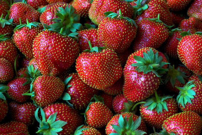 Обои картинки фото еда, клубника, земляника, ягоды